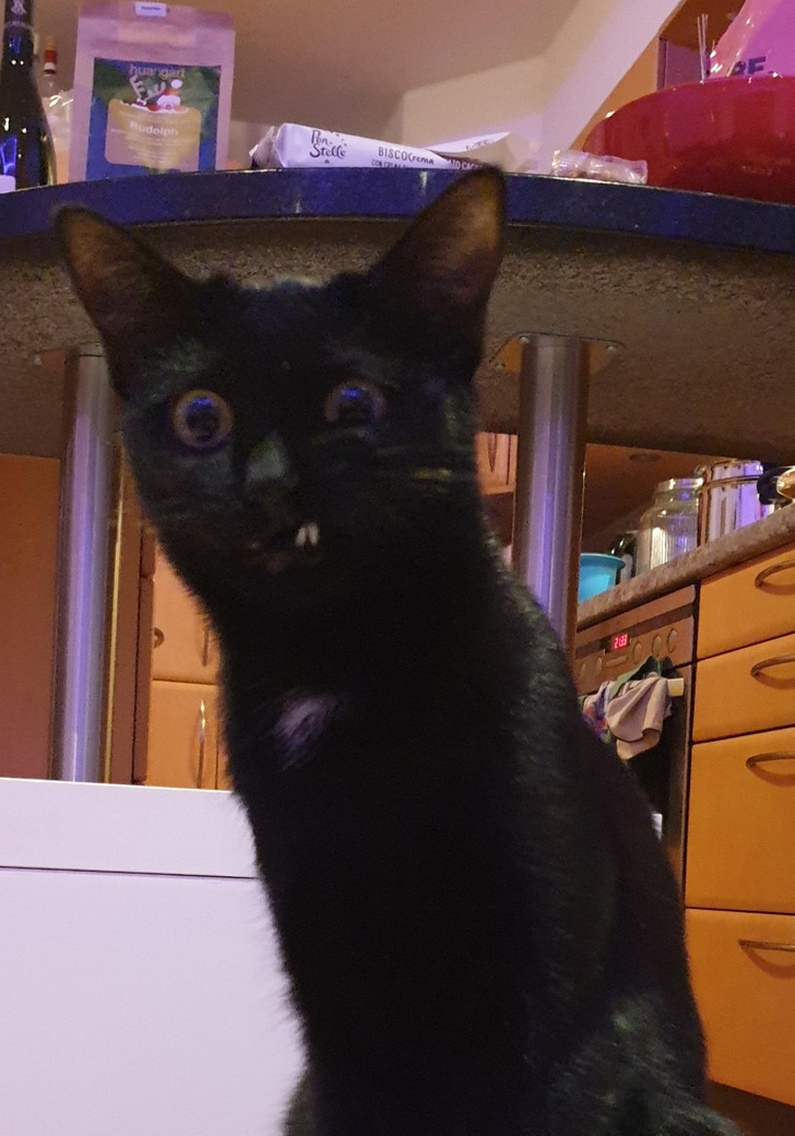 a525475f43a13dde8686daab99