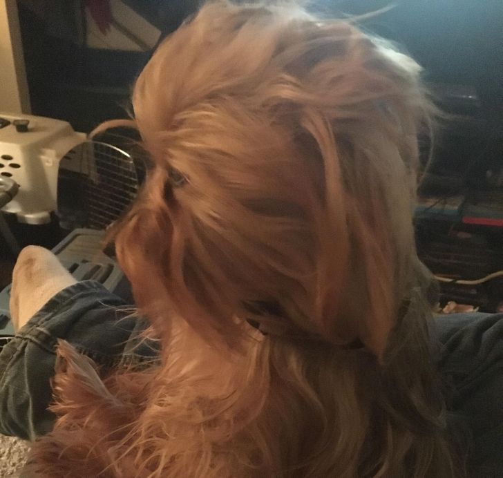 a52ea45454a0759ae459aa4939