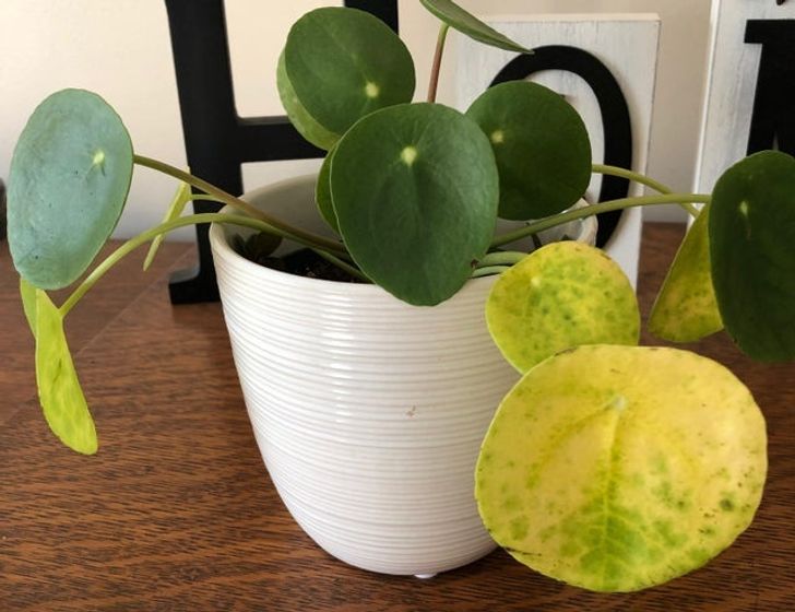 a52fd55e878888bb1c599bca69