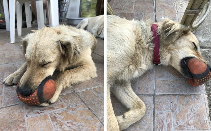 a530115589abcb51724926809f