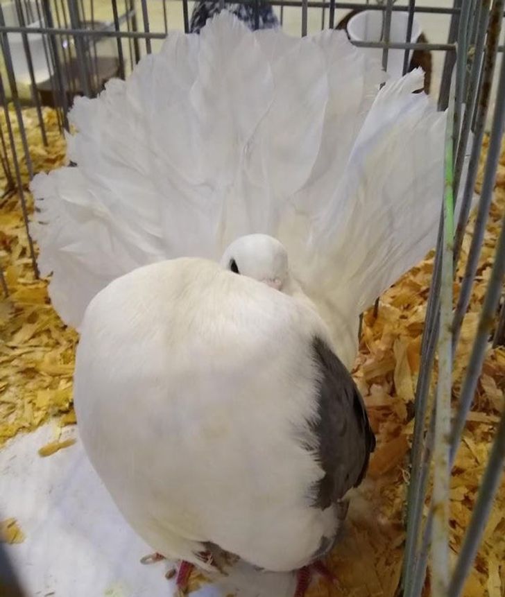 a5330157019fc5053f2e95f4b3