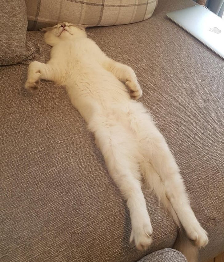 a5389153a4b3a6b48b7f5816d9