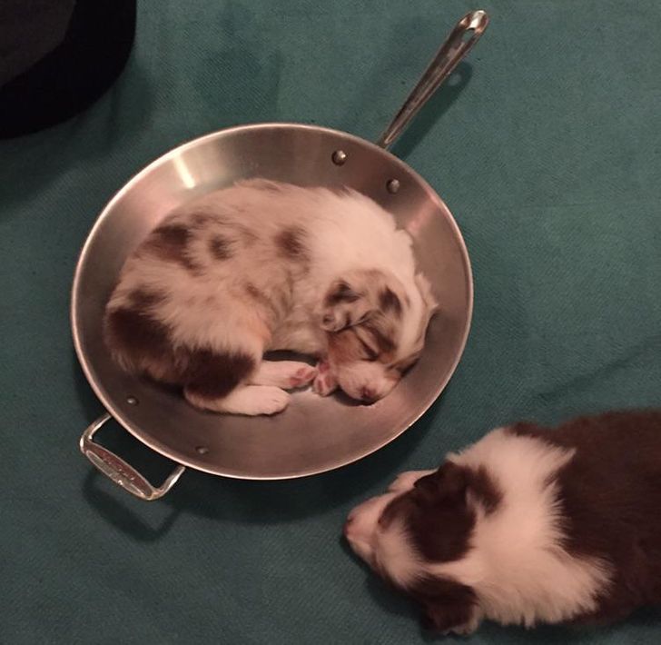 a53a955872bf40c9a29ddae038