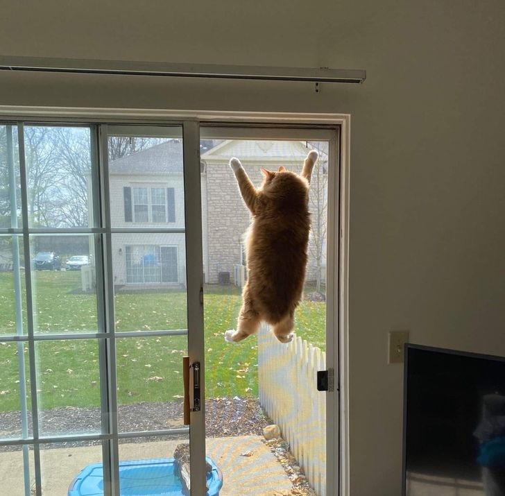 a53d8a5b7c988ac61a6b5fdd96