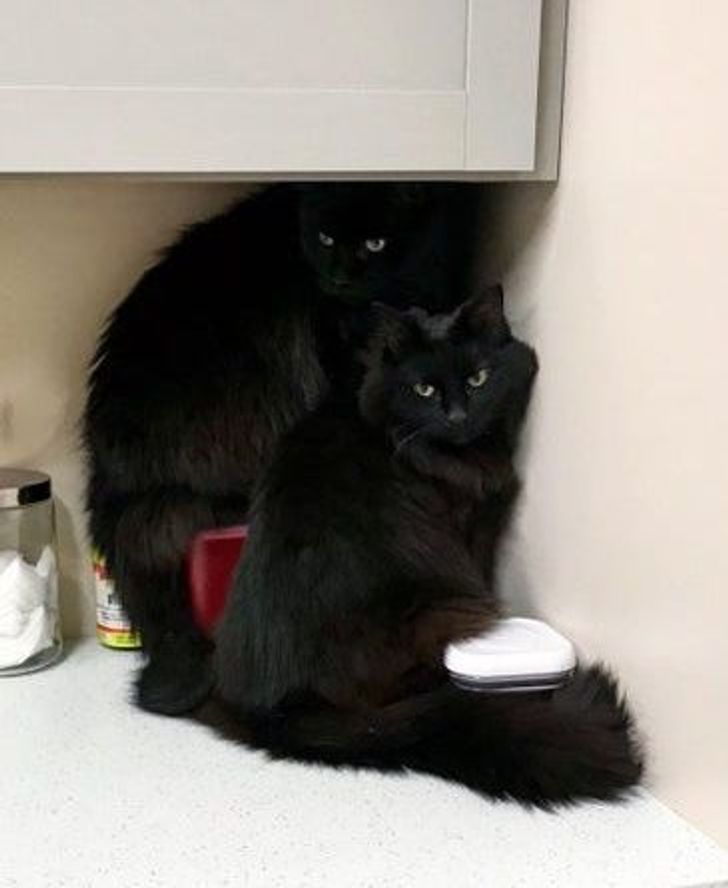 a53eeb594b893f9843c7586673