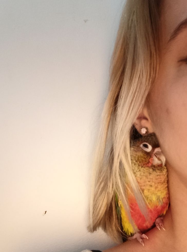 a542095af68277f0dab9aa93a6