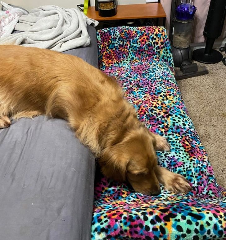 a550ff50aab77a02127b1010e5