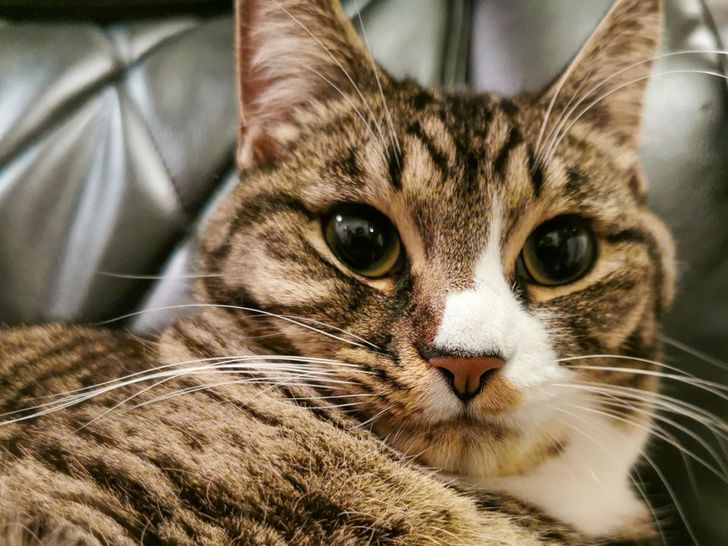 a555935019898ec9a5ffd4733a a555935019898ec9a5ffd4733a