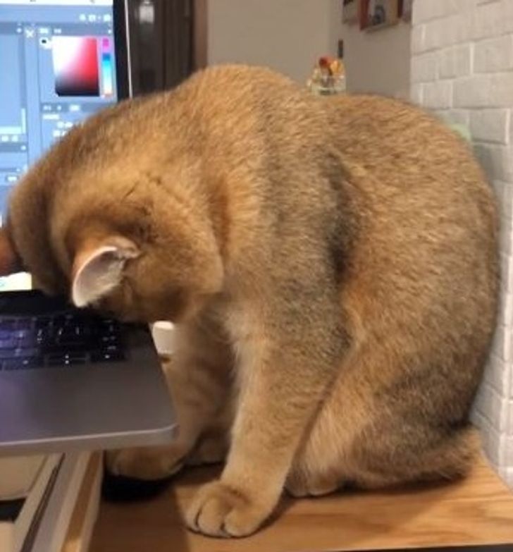 a555d55243bc062b724cd26084