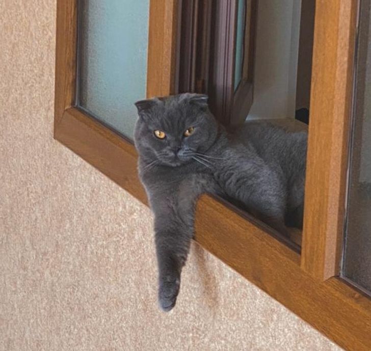 a55a1553cf9025094bad16f424