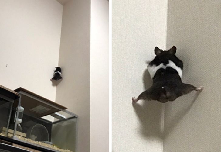 a55b44516cb8a69ea21c391edb