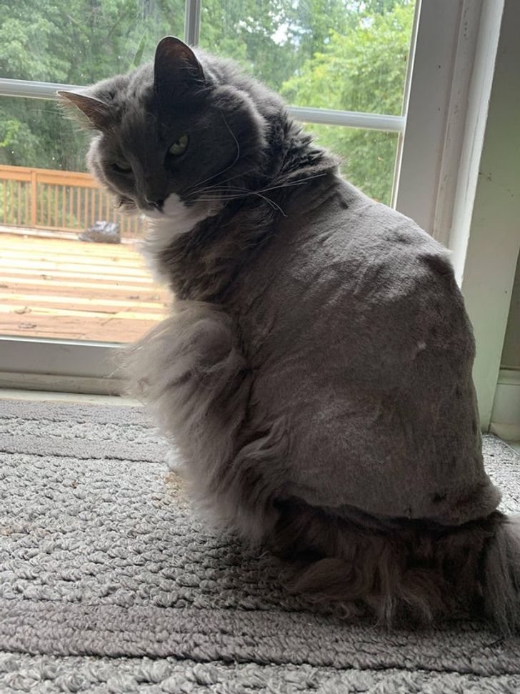 a571305c9489a5485182dff0f6 a571305c9489a5485182dff0f6