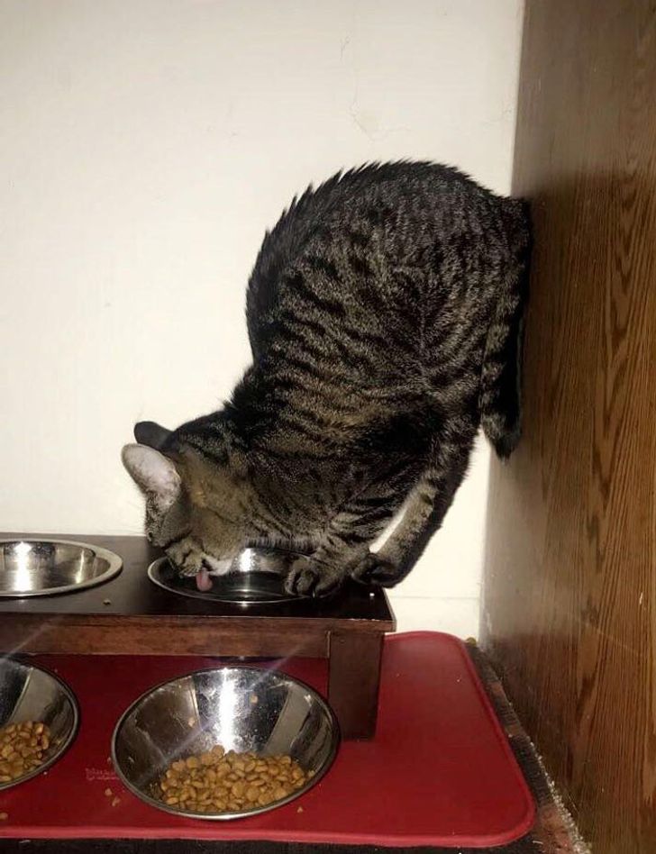 a571f251cabe069cc1231d2fda