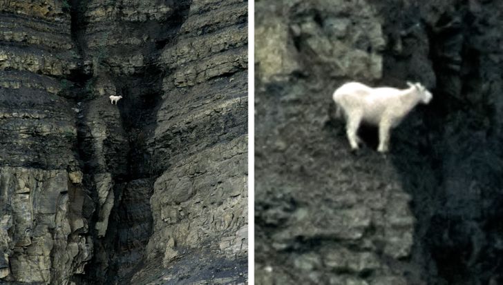 a57255517481893b75ff052b74