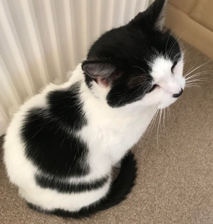 a5776e547c84901a7c55f6d2c0