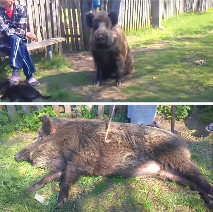 a578e357b59077cfd5879ea4aa