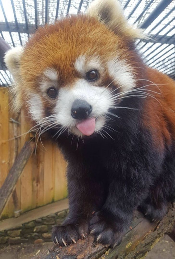 a57cd35382b3e7b0ca7ecaa9d2