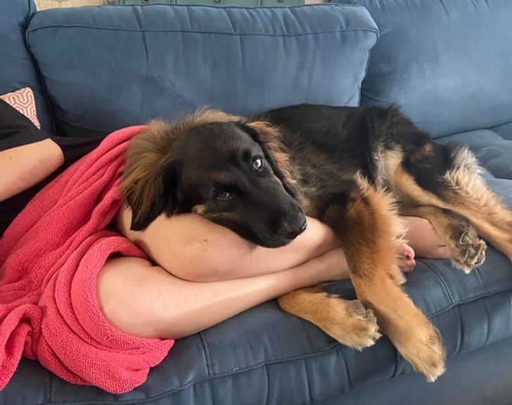 a580d95daeb7d7760f7de30ccb