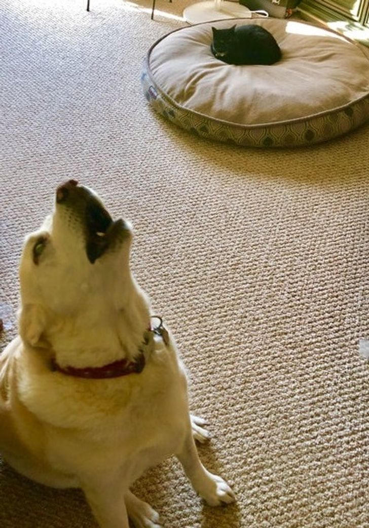 a588dc57729797aa84d28a501c