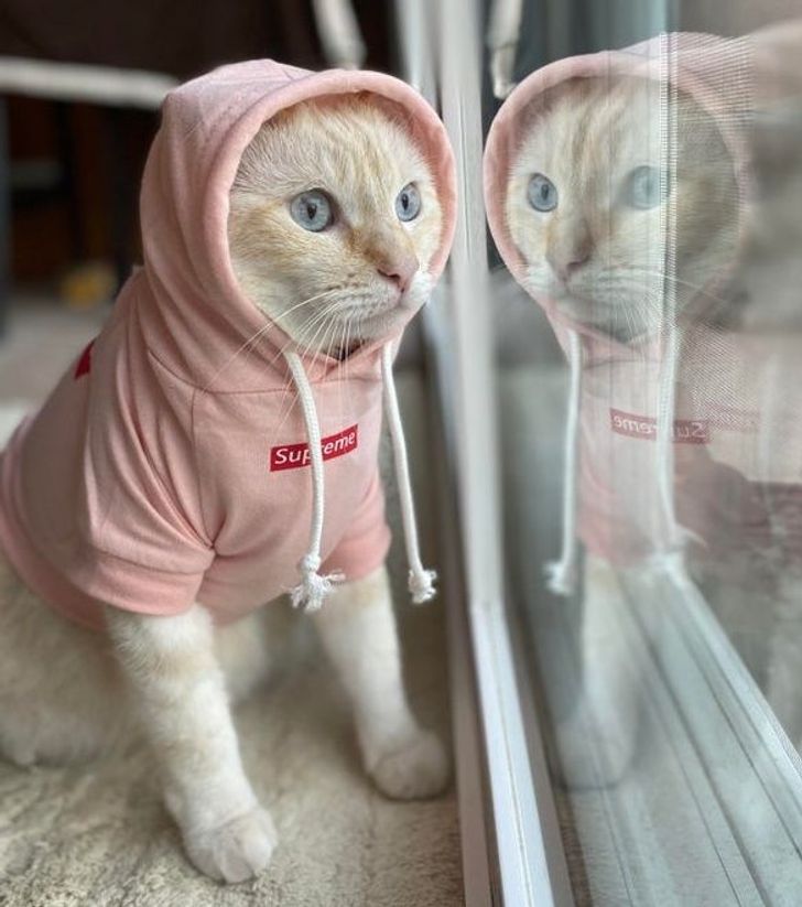 a59011559a95f1dd18e7553015