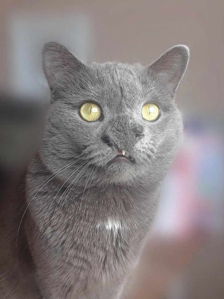 a5924758e6b5763944c02a9661