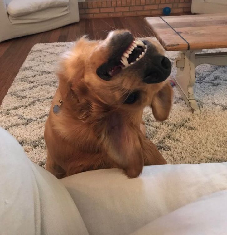 a5973e55718297338e6482000c