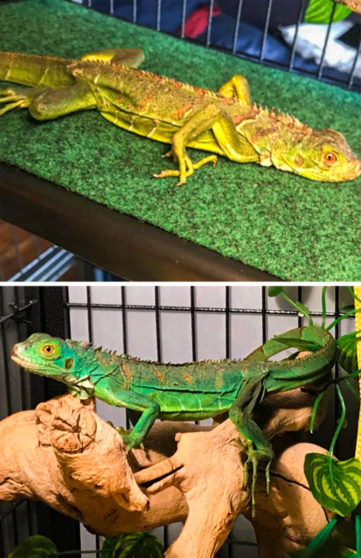 a59ae750d6833c84140ce9e47e