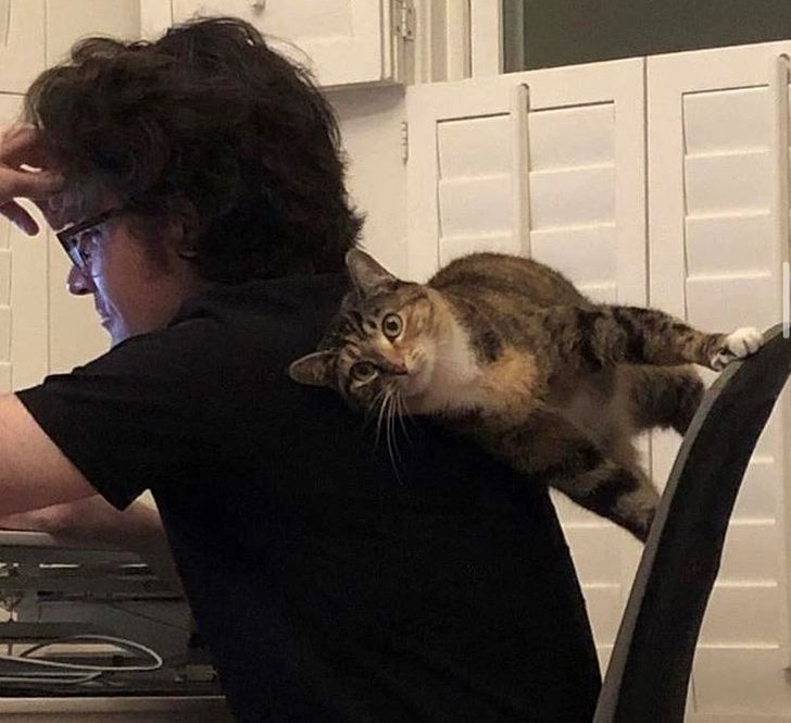 a59f6c56f5b71a07a5126ece9d