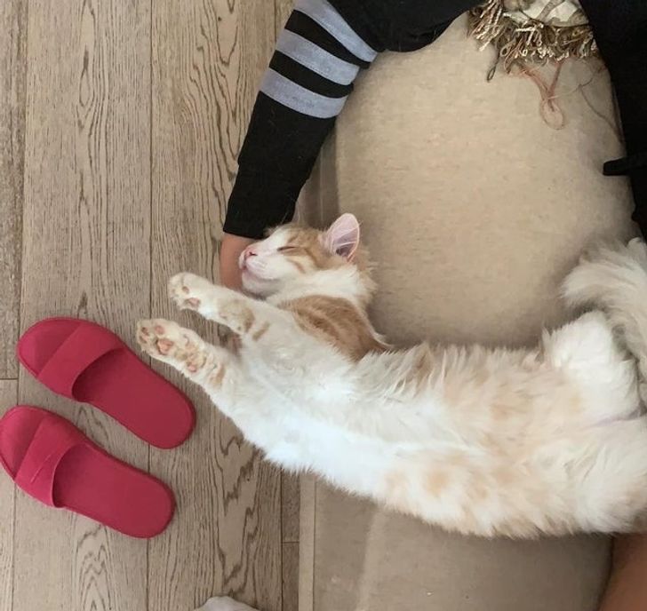 a5a81250fab9a150d74d5ccfe3