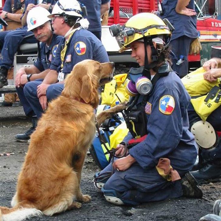 a5abca5f17a25c506f2723e9d9