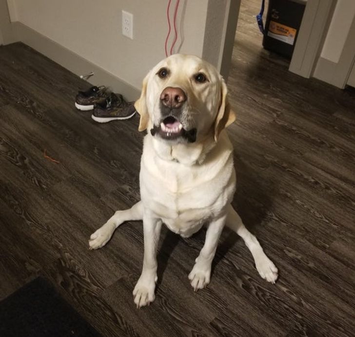 a5d46a5a4f86a65487237fdb14