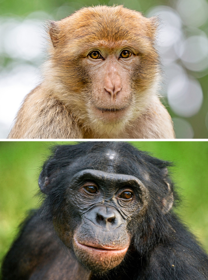 a5d4bc565e8e09d8c8ea5dac41