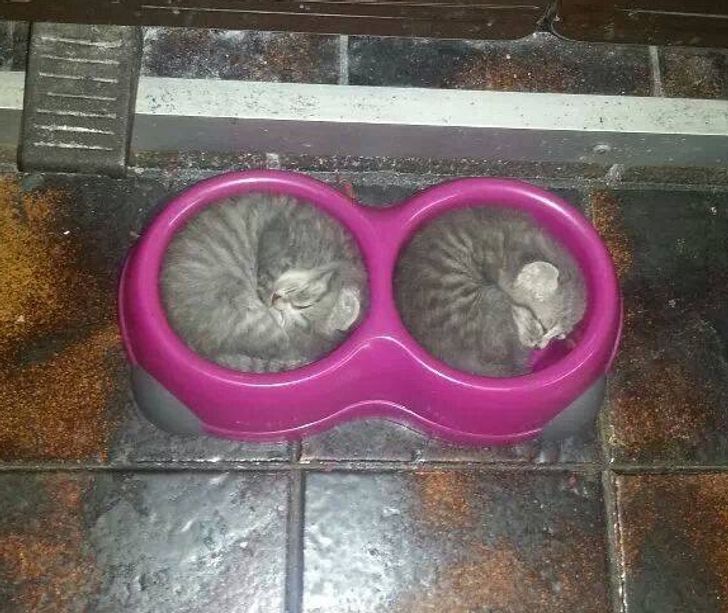 a5d6f555169f98a559cad59b62