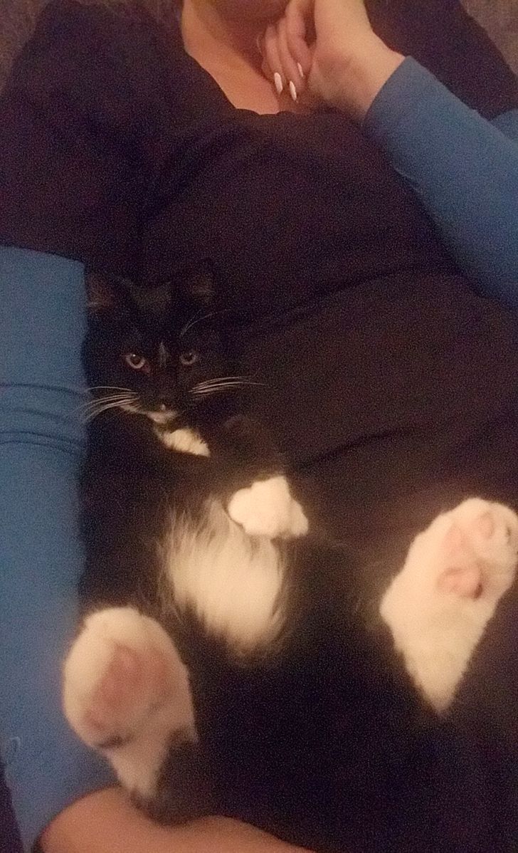 a5d85555f181a13eed83614d1e