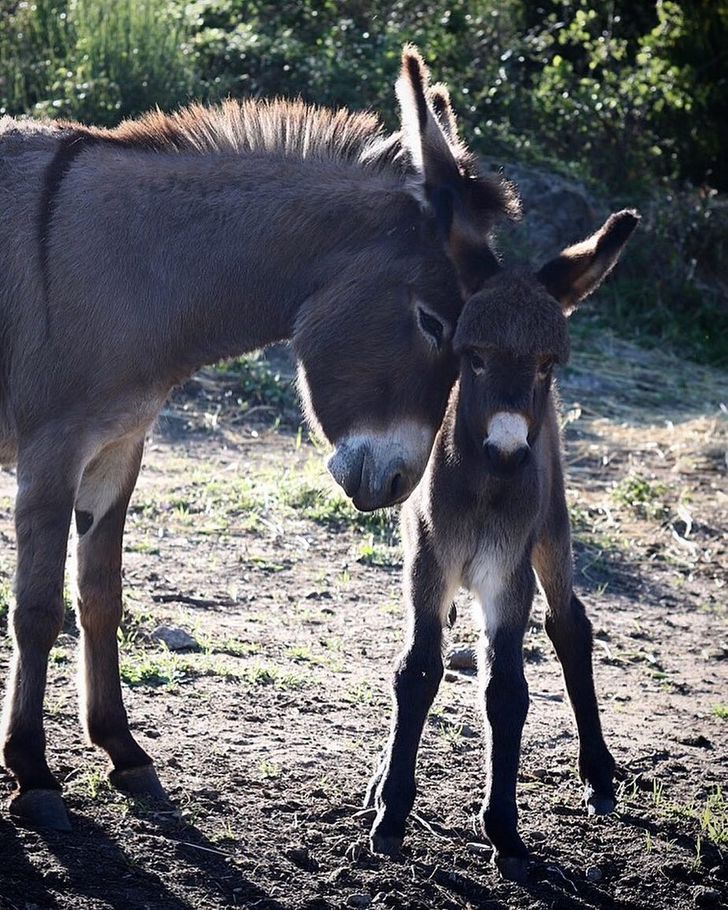 a5dba65799a81ba1eabddf702c