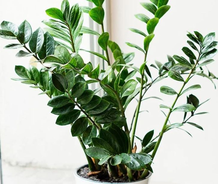 a5e6b15643a8d6b31cbab7b374