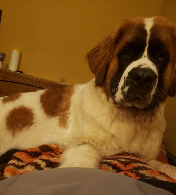 a5eb9e5b91bd0f82a5591426b2