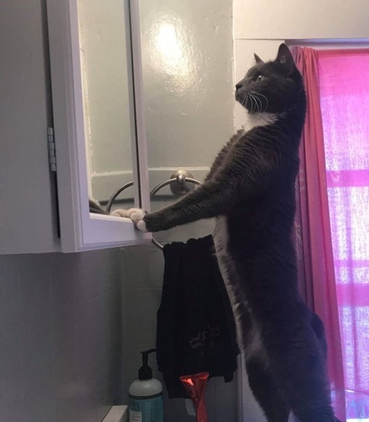 a5ef1a5be0b6233e6c0c4bcdc3