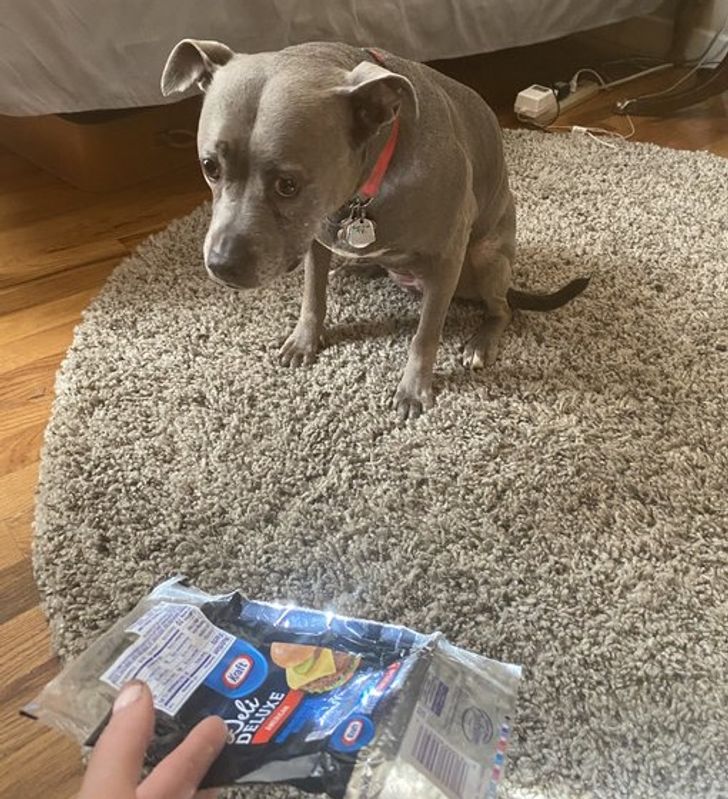 a5fb4458e8b43b45aa41d9ddaf