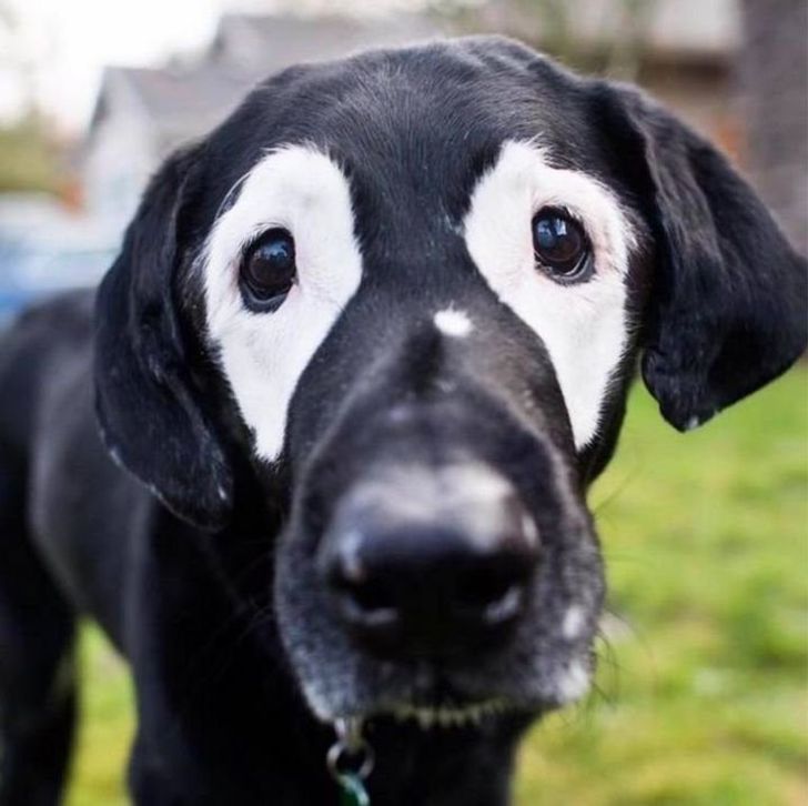 a608f65404b76b91845bb5f8a6