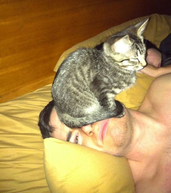 a6100e57c6819e3be8660747f8