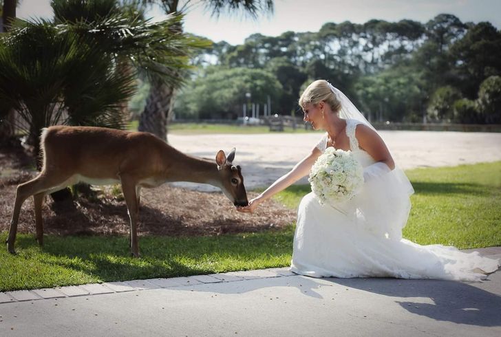 a6130753d4b543c88c5a5a6a3d