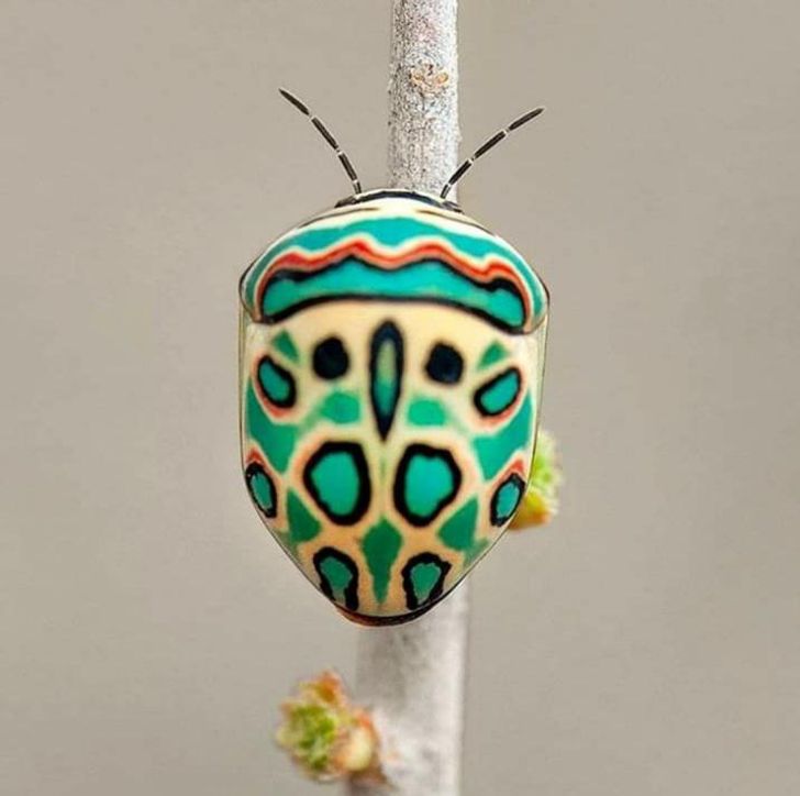 a6155c53bd97cb5fc3a22d800f