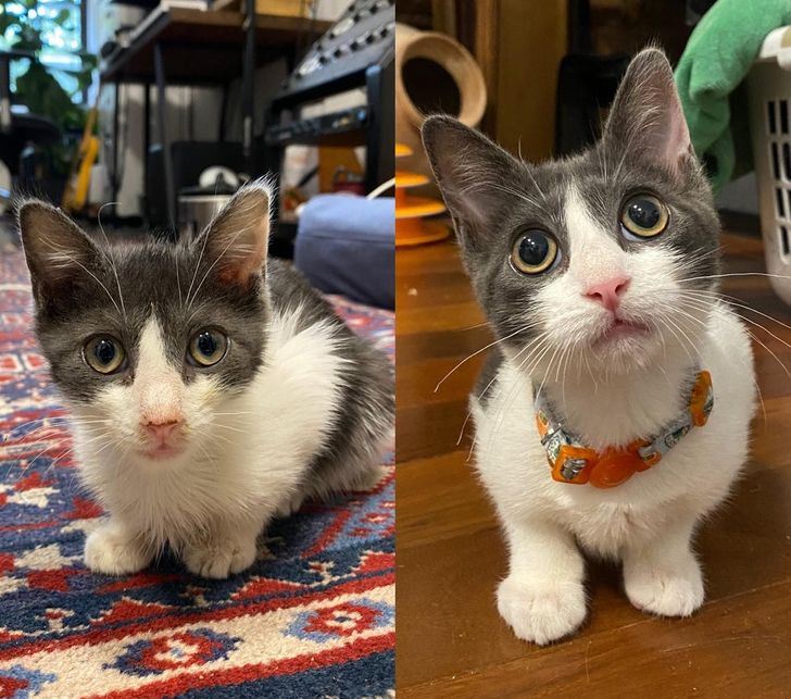 a619445703a7702e0f76d358a8