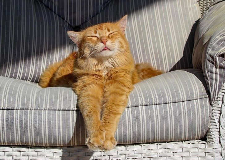 a621575617ab18c3c7f047d7f0