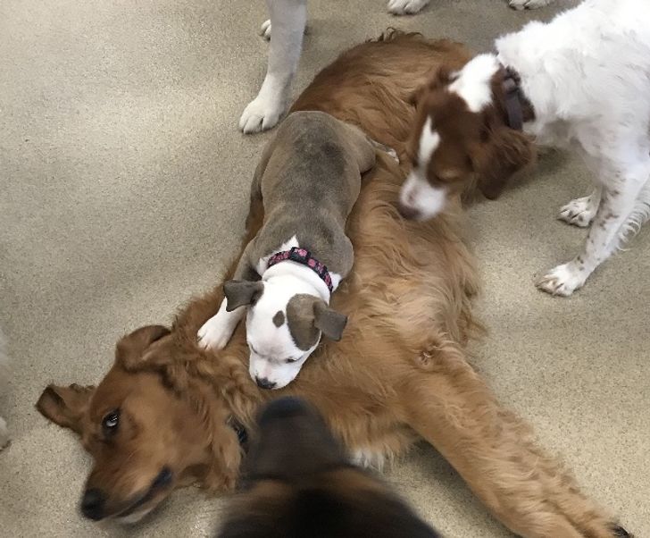 a6223752c480dda880363ad15d