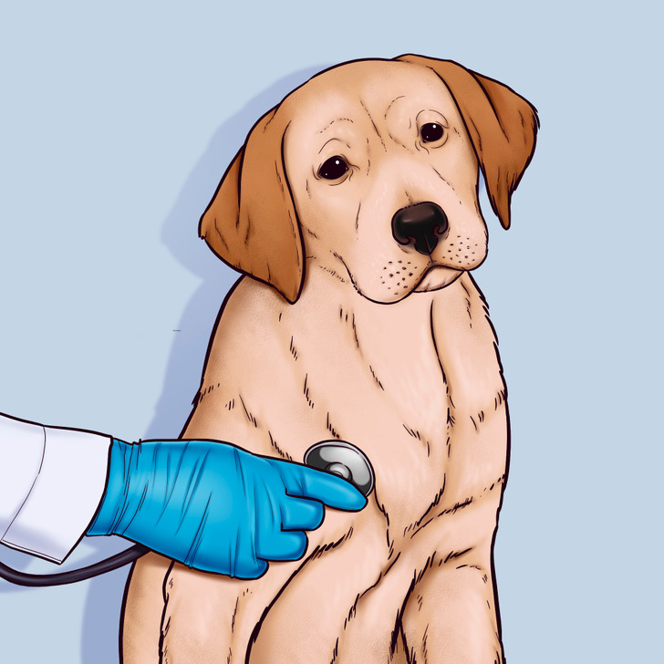 a6288256558b879547973521ff a6288256558b879547973521ff