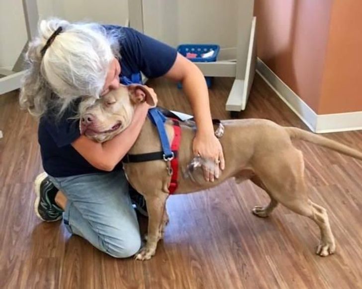 a631185a1a86d49f14ec6904e4