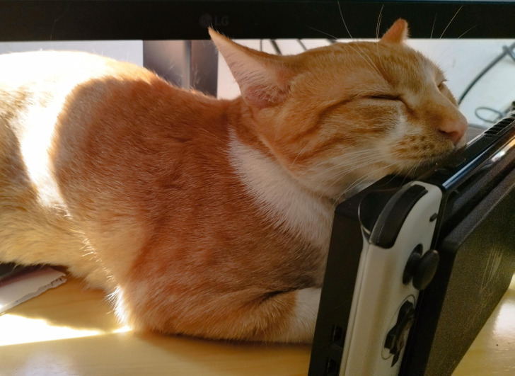 a6374f59c08c3160f0c822b1f9 a6374f59c08c3160f0c822b1f9