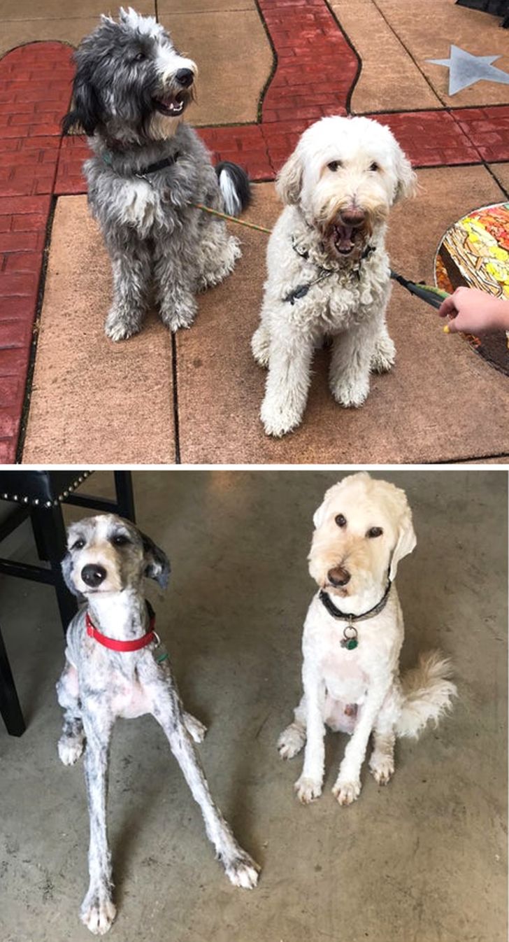 a63c745f44a9bd65a83384aed0